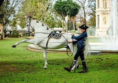 A person leading a white Andalusian horse in a park with trees and monument in the background.