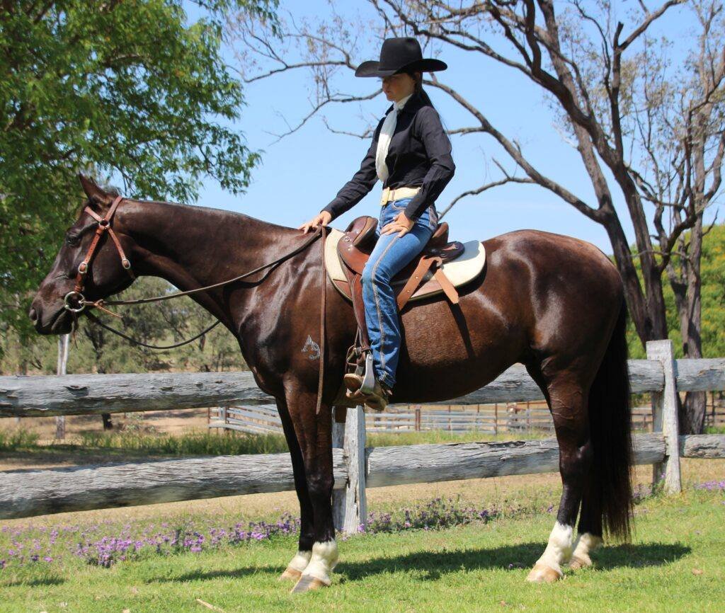 Traditional Australian stock saddle with swinging fenders, used for campdrafting and cattle work
