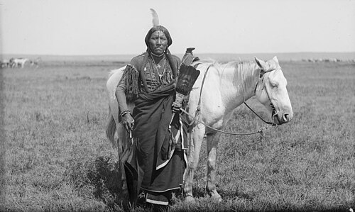 Comanche horsemanship