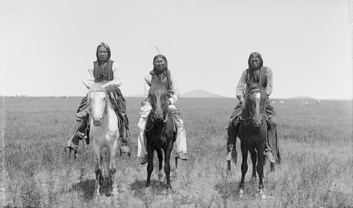 Comanche horse culture