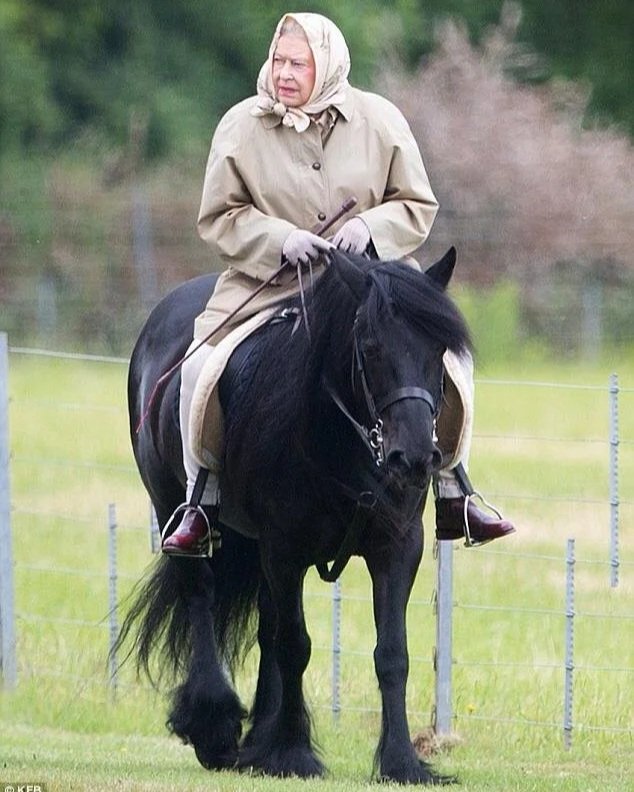 Queen Elizabeth II with her beloved Fell Ponies