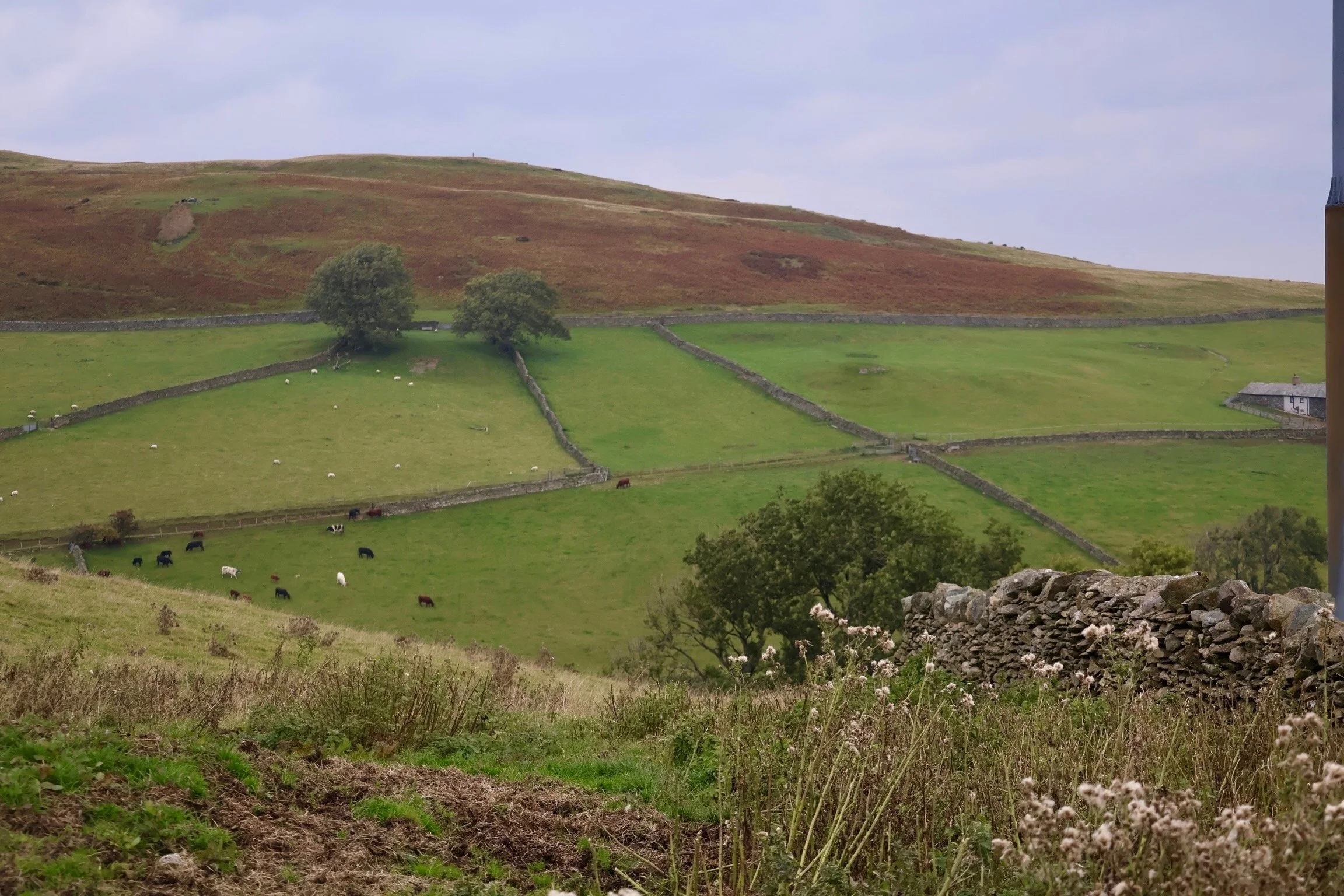 Approaching the high moors of Cumbria
