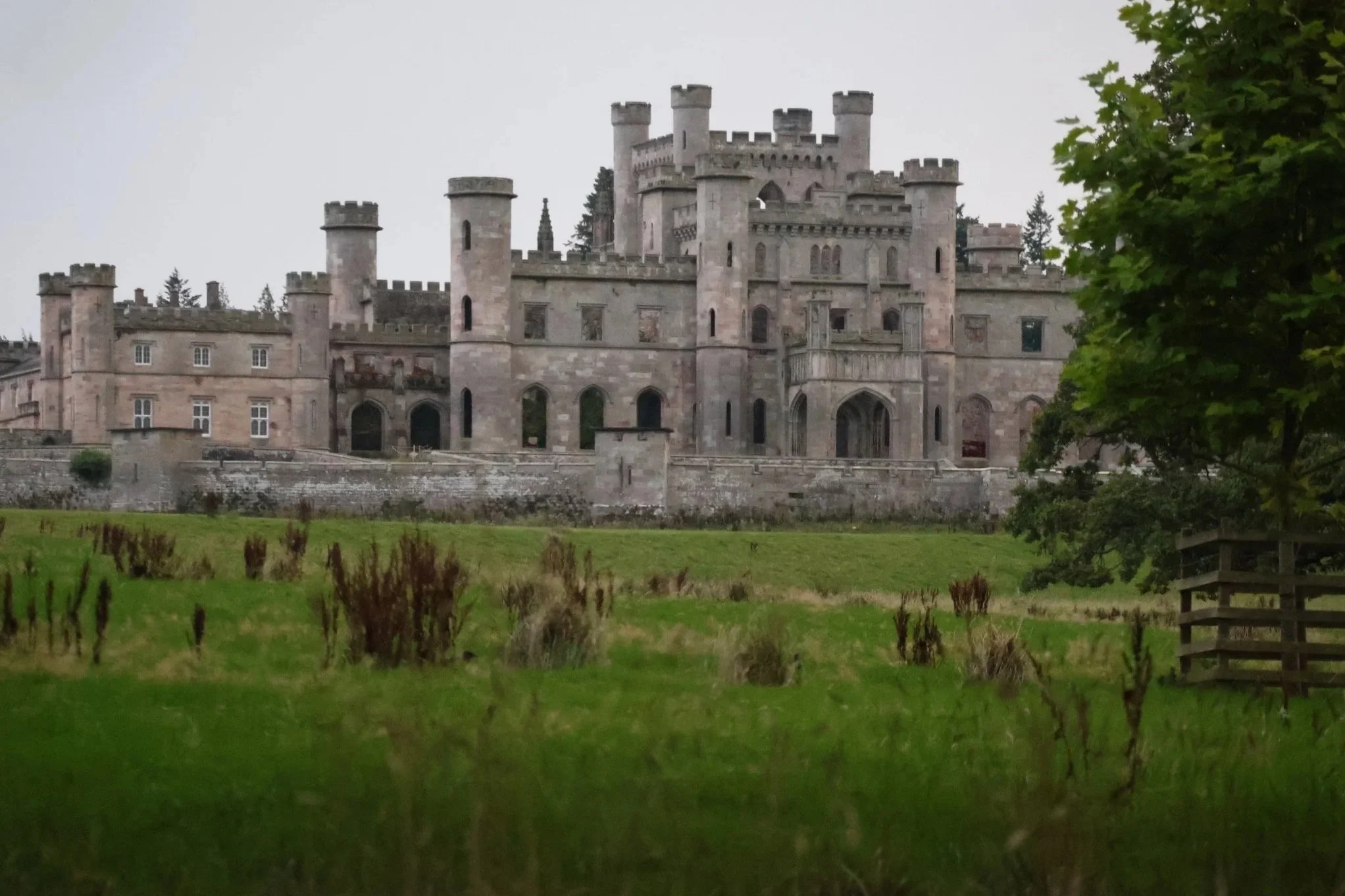 Search for the Fell Pony