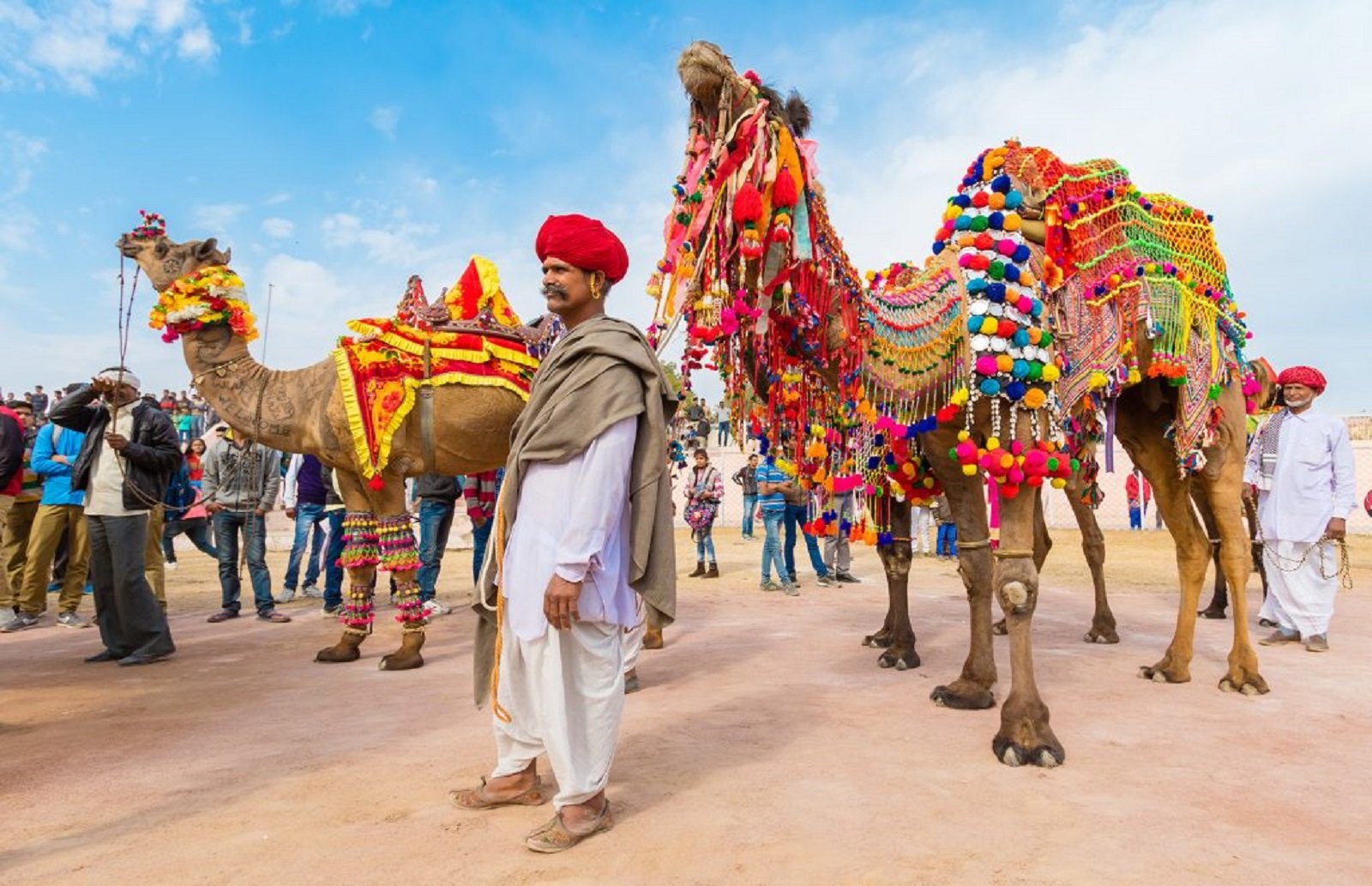 Camel adorned with colourful ceremonial decorations with men in traditional Rajasthani attire