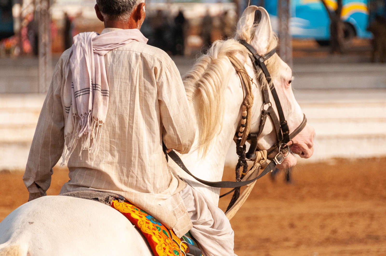 A man riding a white Marwari horse in an outdoor riding area at the Pushkar Fair