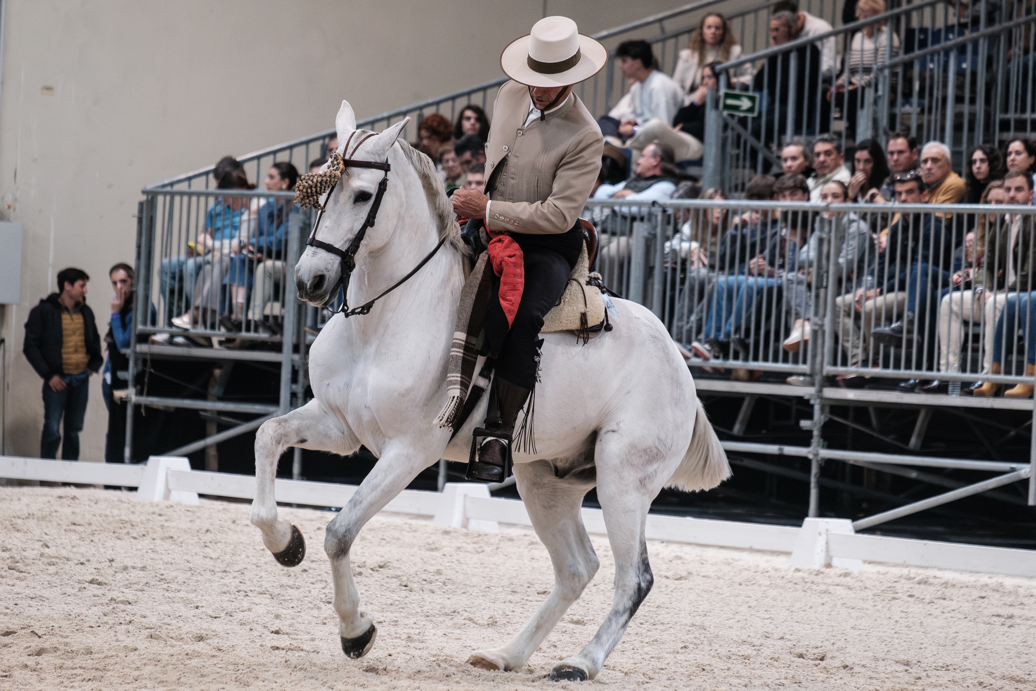 Doma vaquera riding style demonstrated in an arena